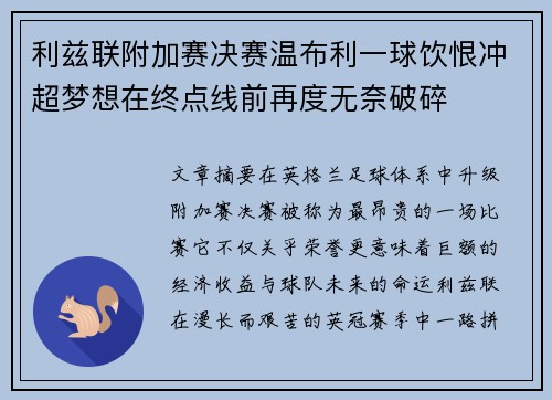 利兹联附加赛决赛温布利一球饮恨冲超梦想在终点线前再度无奈破碎 利兹联附加赛决赛温布利一球饮恨冲超梦想在终点线前再度无奈破碎